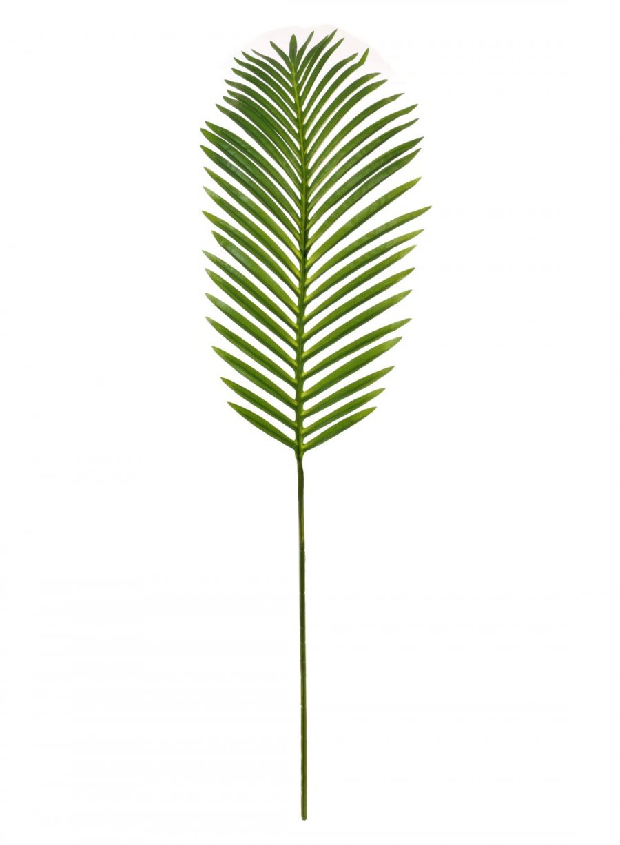 Tropical Fern Leaf (107cm)