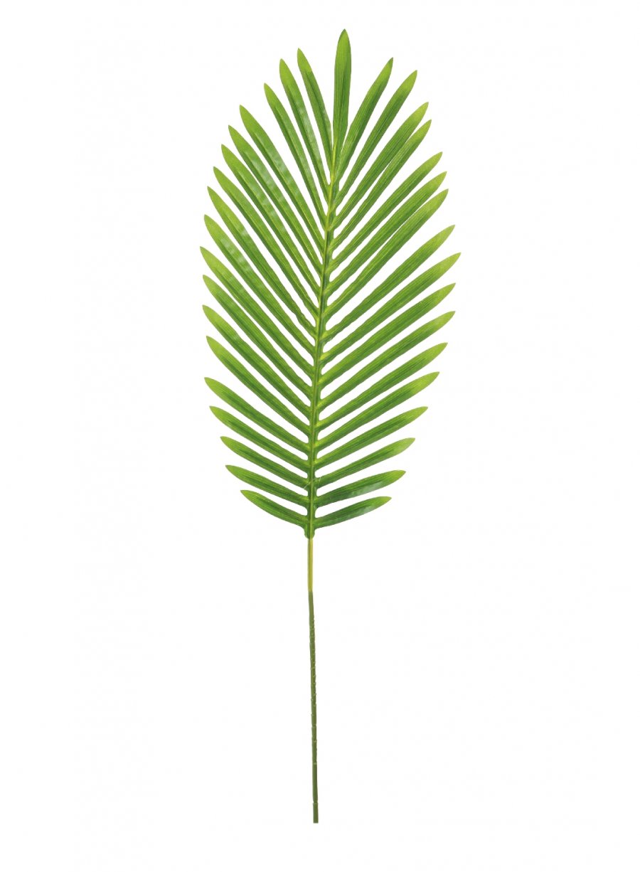 Tropical Fern Leaf (75cm)