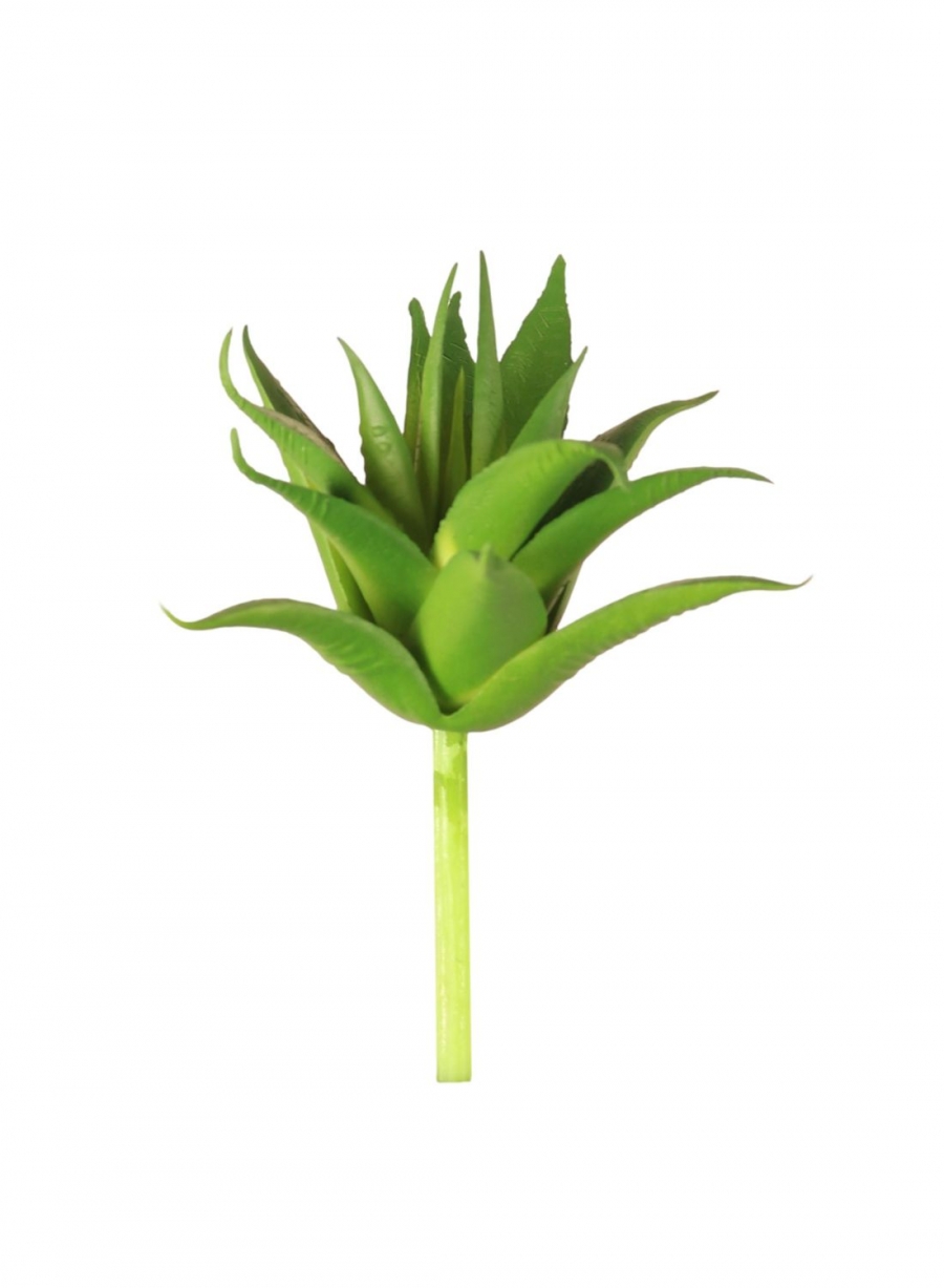 Plastic Aloe Vera Succulent | Lotus Imports Ltd