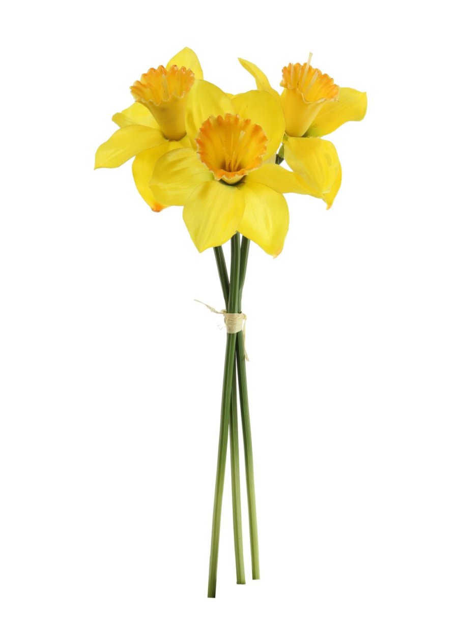 Spring Daffodil Bunch (3x Stems)