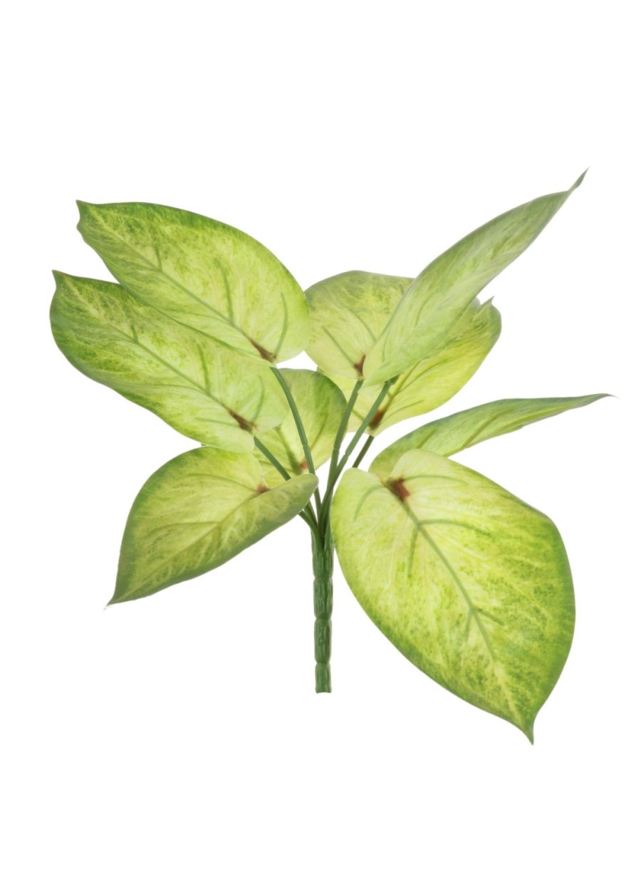 Printed Pothos Leaf Bunch (Small) 