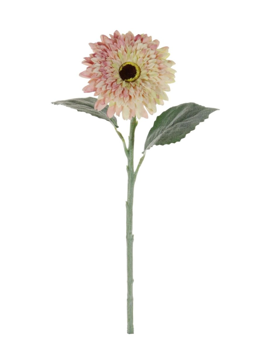 Dried Touch Flocked Gerbera