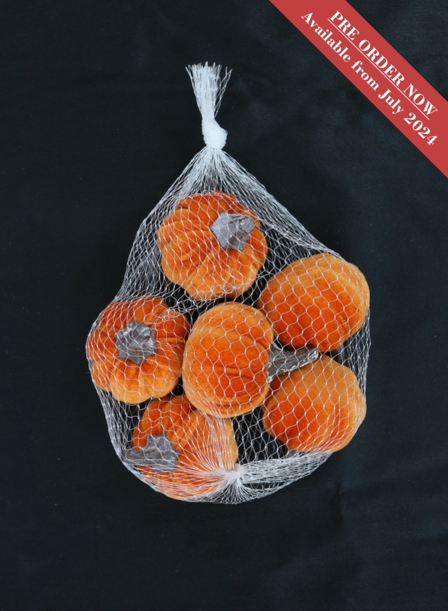 Velvet Pumpkin Bag (Small)