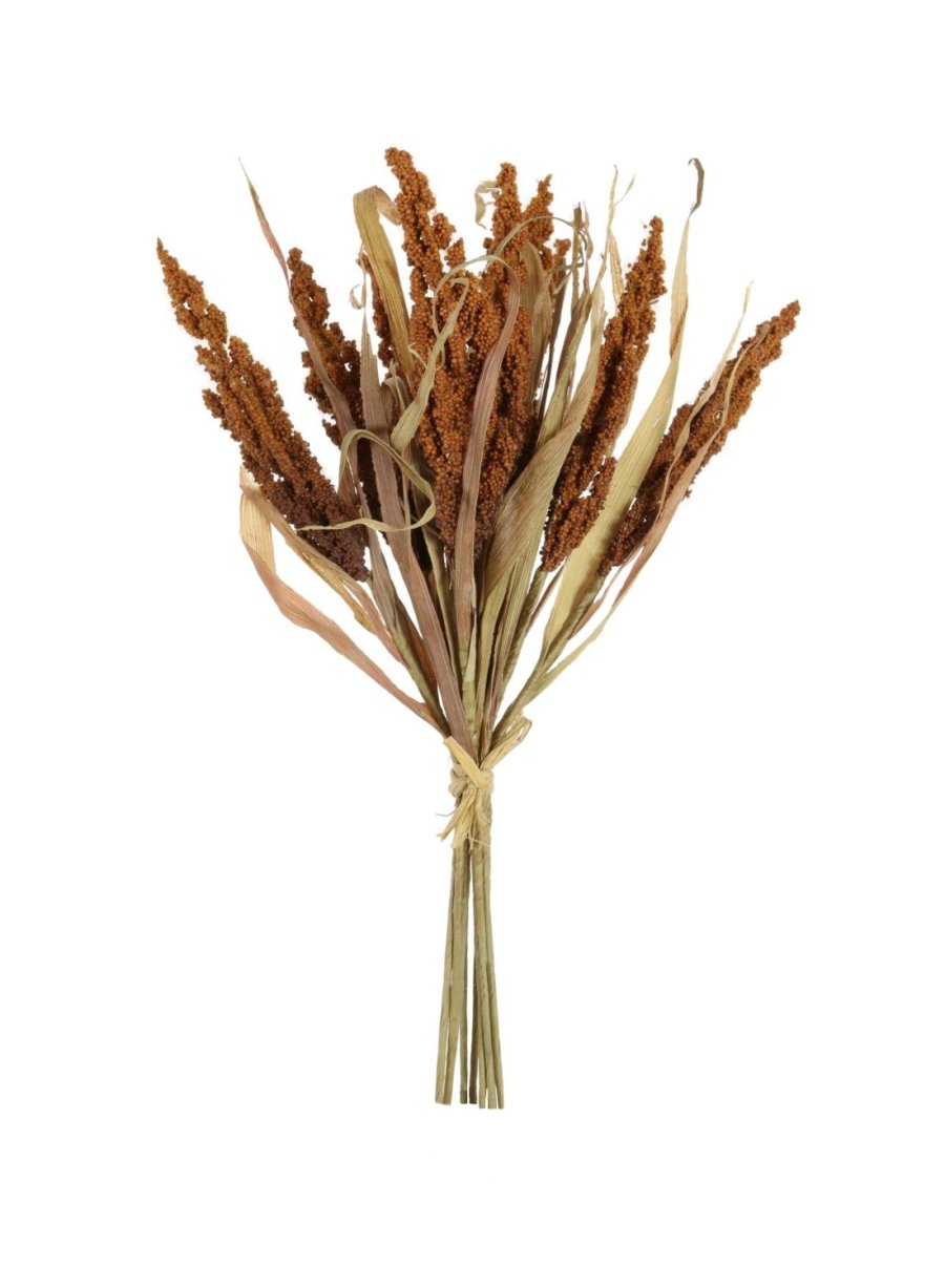 Dried Reed Wheat Bunch