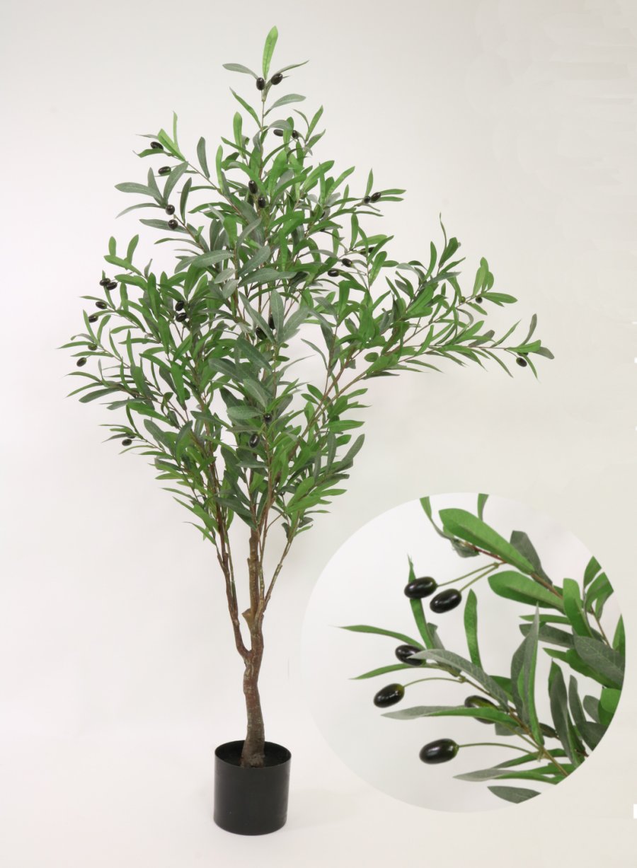 Olive Tree (150cm)