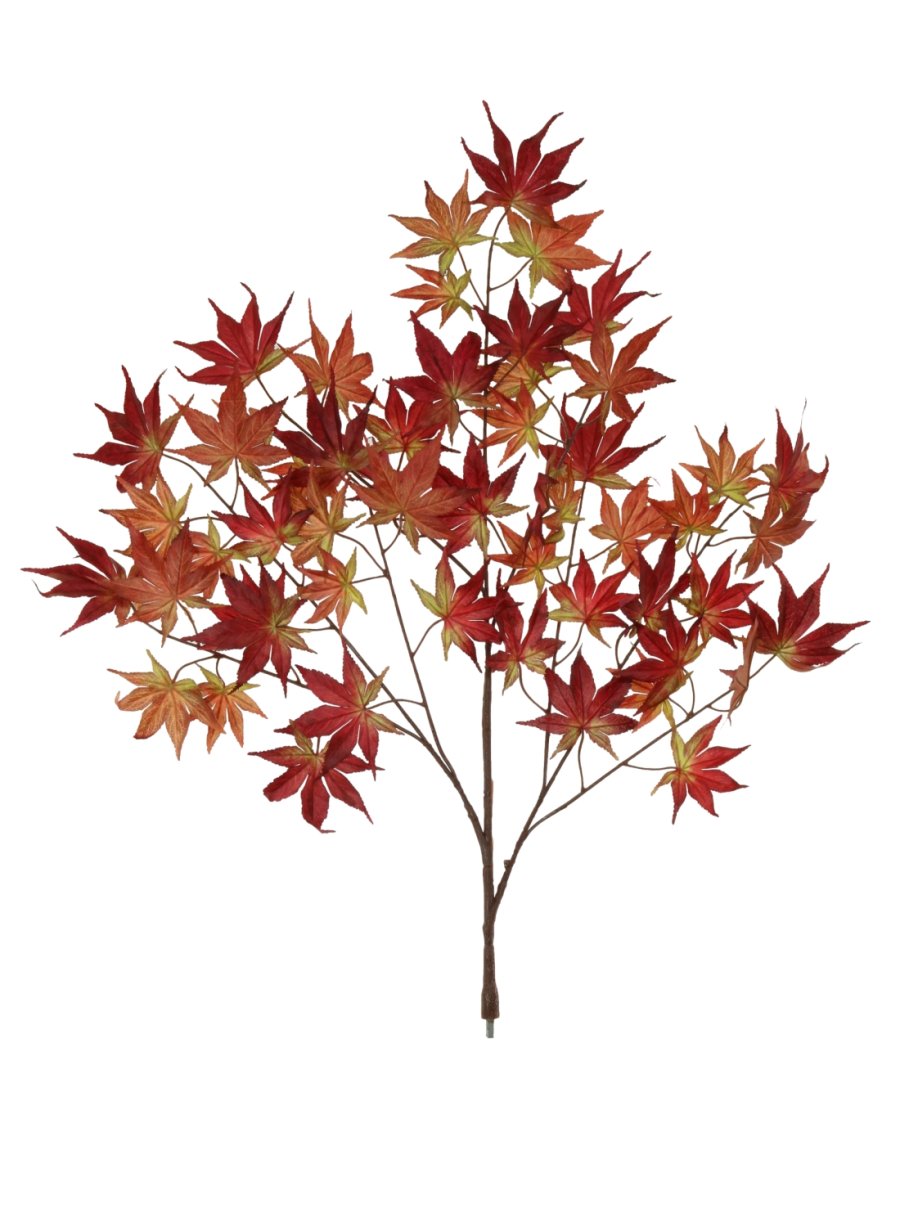 Maple Leaf Branch