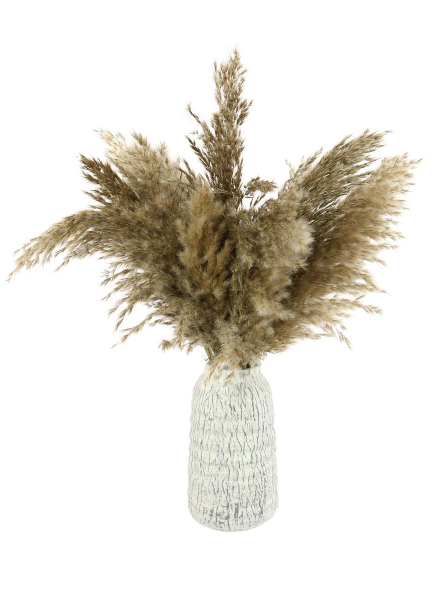 Extra Fluffy Pampas in Stone Vase
